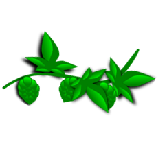 Hops_vector.png