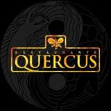 Querqus_logo.jpg